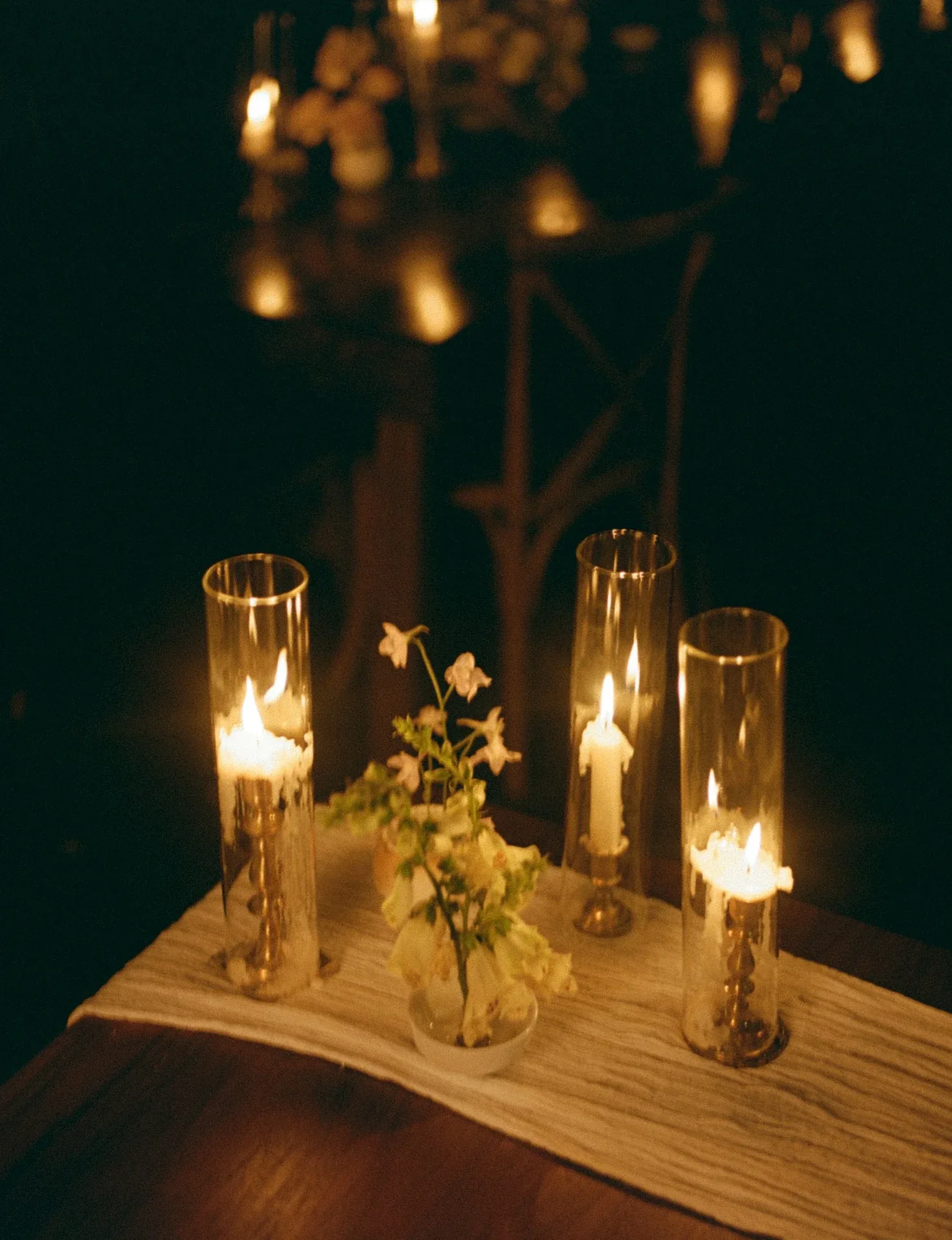 Taper candles in glass hurricanes beside a single bud vase on a dark table
